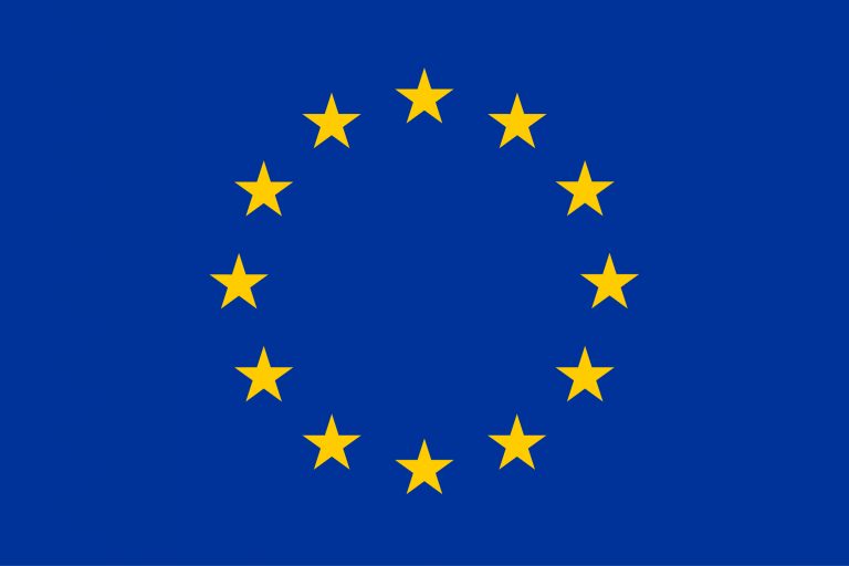 EU Elections 2024: Call to Action